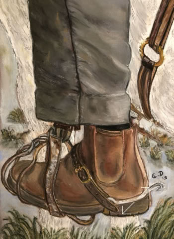 Cheval et poulain